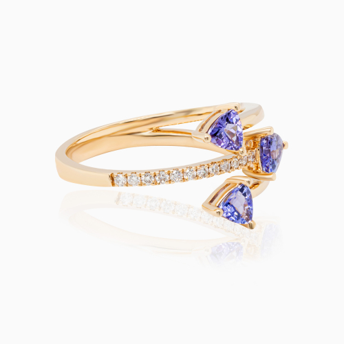 The Constellation Ring