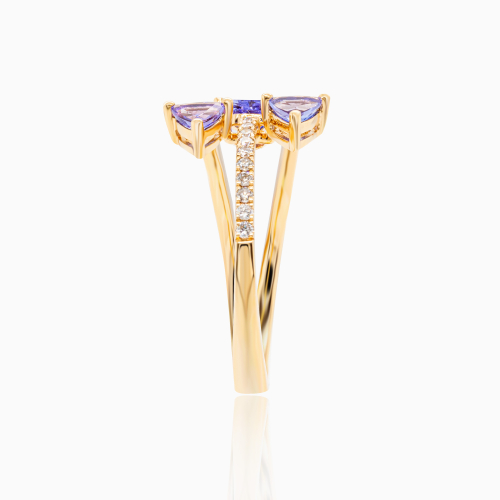 The Constellation Ring